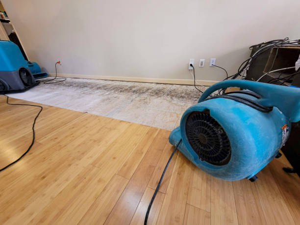 Professional Burst Pipe Water Damage technician working in Colton, SD